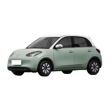 2024 Wuling Bingo: China's Mini Electric Car for Elderly with 4 Wheels and 5 Doors