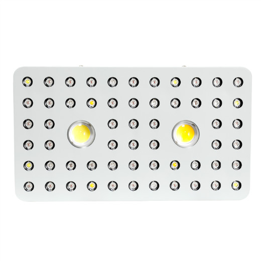 Best COB LED Grow Lights Phlizon