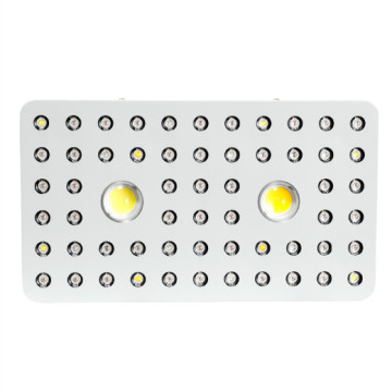 최고의 COB LED GROAT LIGHT LIGHT PHRLIZON