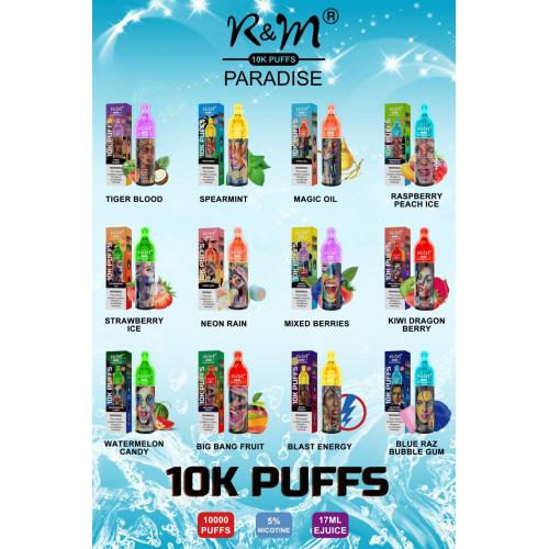 R&M 10000 puffs Disposable Vape Device USA