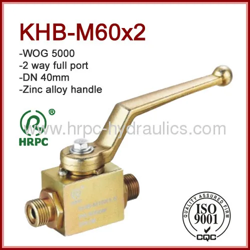 Dn40 High Pressure 2 Way Hydraulic Full Bore Steel Ball Valve Wog 5000psi 