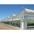 Prefabricated Agricultural Steel Structure Greenhouse