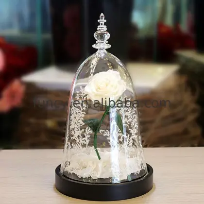 Best Valentine's Day Gift: Preserved Flower Beauty and the Beast Enchanted Rose