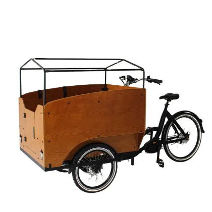 Electric Cargo Tricycle with Five Seats for Children