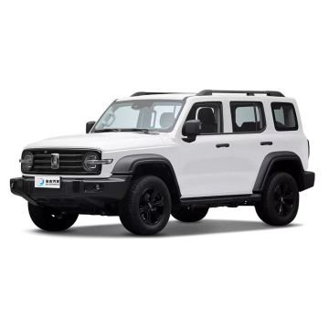 2024 China Brand New Great Wall Tank 300 SUV