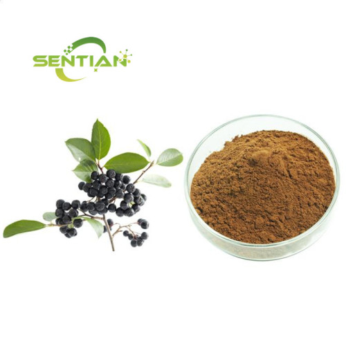 Ligustrum lucidum Extract Powder