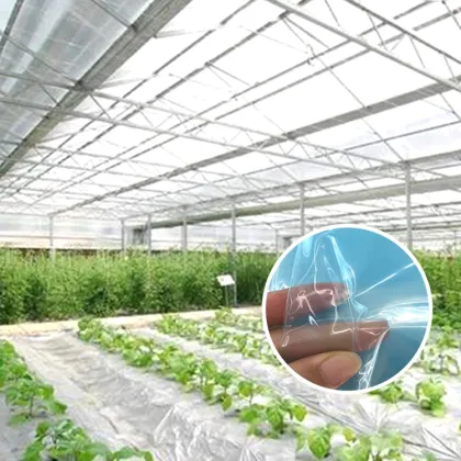 Plastic Film Covering Greenhouse Po Film