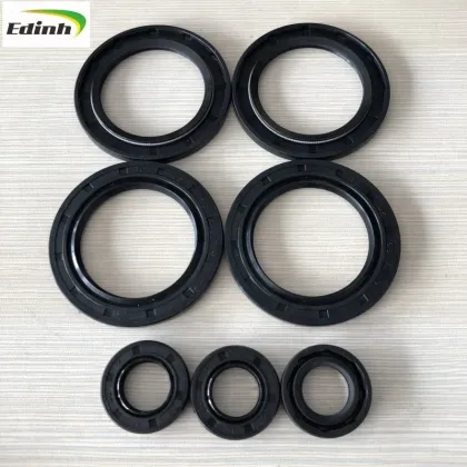 High Quality Custom SOG Oil Seal 13x22x5 mm BRG TC NBR