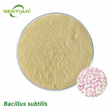 Bacillus subtilis Biofungicide Plant Growth Promoter