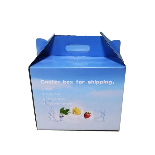 Insulated Cooler Box for Food Shipping