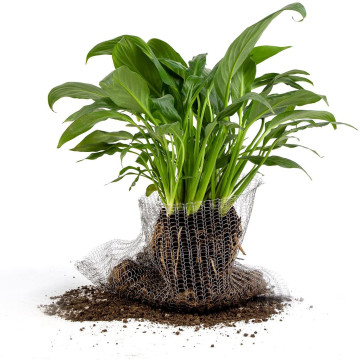 304 Stainless Steel Wire Baskets for Plant Root Protection