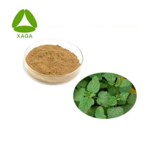 10:1 Melissa Officinalis / Lemon Balm Extract Powder