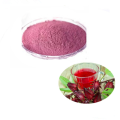 Best lingonberry powder benefits