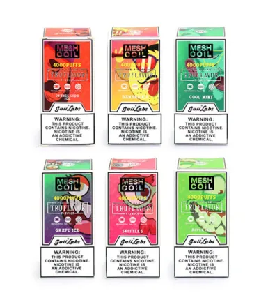 Guii Labs 4000puffs Disposable Vapor Stick Mash coil