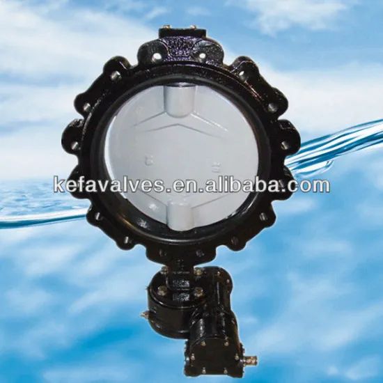 Lug Type Butterfly Valve Nylon Disc