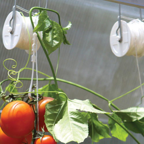 Tumbung Tomato Aksesori Loji Rumah Tali Roller Trellising