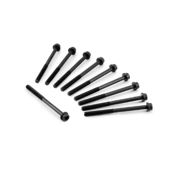 81029000 BOLT CYLINDER HEAD