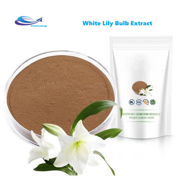 white lily bulb extract health benefits