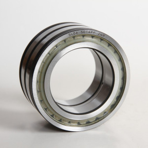 Double Row Full Complement Cylindrical Roller Bearing (SL045014PP)