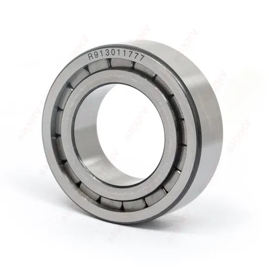 Customized Chrome Steel Cylindrical Roller Bearing R913011777 35x62x20mm for Engineering Vehicle Reducers