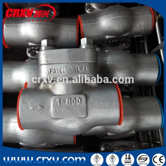 Check Valve Piston Lift Swing Ball Check Valve F316L 1inch 800LB