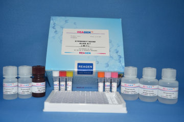 Ciprofloxacin ELISA Test Kit ELISA Test Kit