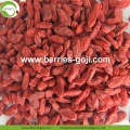 New Factory Supply Dried Malaysia Wolfberry