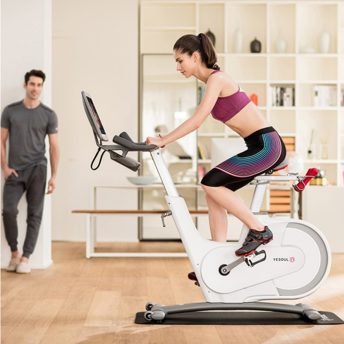 yesoul v1 plus bicicleta magnética de spinning para exercícios internos