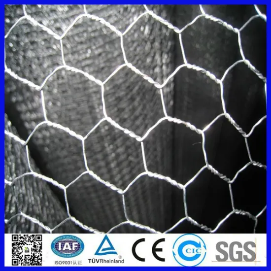 Anping galvanized hexagonal wire mesh