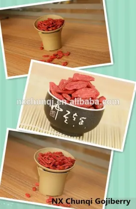 NEW CROP HOT SALE BULK GOJI BERRIES