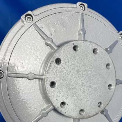 1KW Low rpm low torque disk PMG Generator