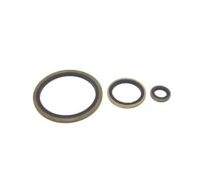 Rubber Bonded Seal Gaskets