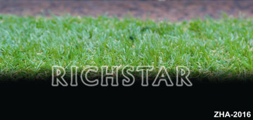 Artificial Grass, Landscape Grass (ZHA-2016)