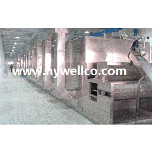 DW Series Food Belt Dryer