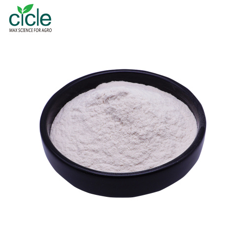 Chitosan Hydrochloride HCL Powder