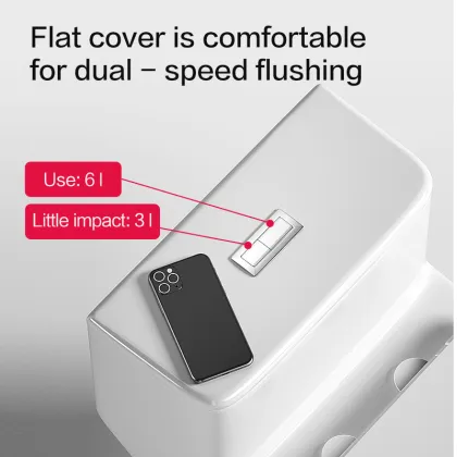 Ceramic One Piece Toilet with S-trap Siphon
