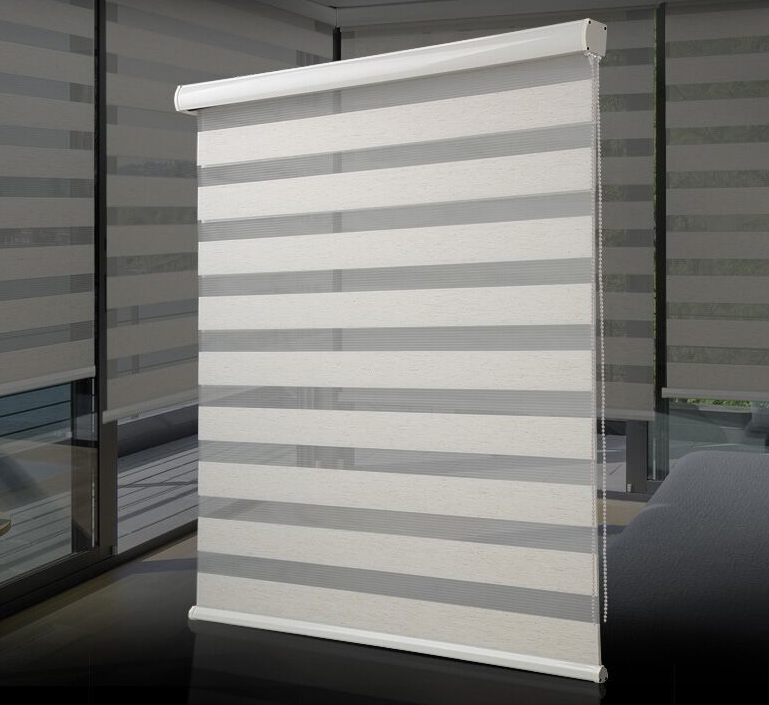 Zebra Roller Curtain Shade Plain Dyed