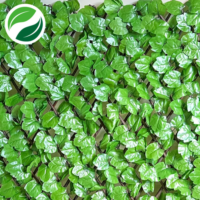 Extensile pseudotumor pale toothed maple leaf