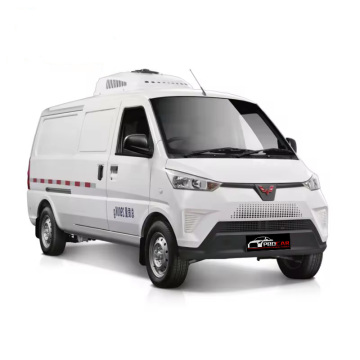 1 to 10 Ton Box Truck & Van Refrigerators for Seafood and Meat Sale in South Africa