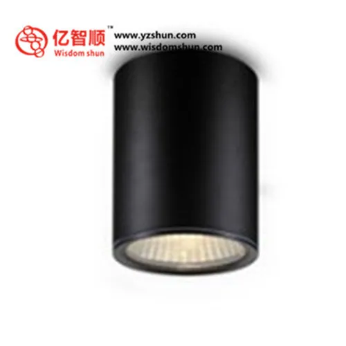 ed spotlight led downlight 1000 lumen 2013new style led CE&RoHS approval