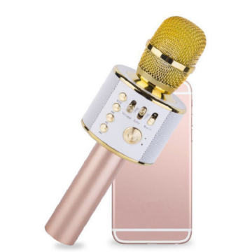 Handheld wireless Karaoke Microphone Speaker