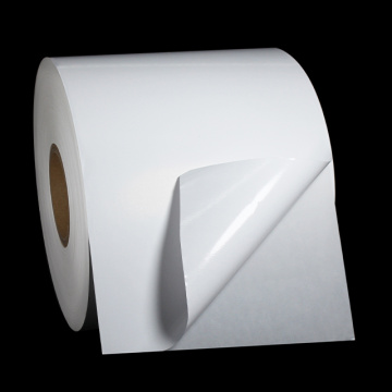 Classic Thermal Transfer Jumbo Label Roll