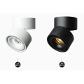 Cob LED-Schienen-Downlights