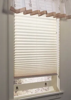 blinds/ pleat curtain