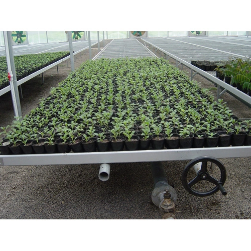 Hydroponic Seedling Planting Greenhouse Plastic Trays for Plants Plastic  Tray for Wheelbarrow - China Plants Growing Trays, Plastic Nursery Seedling  Trays