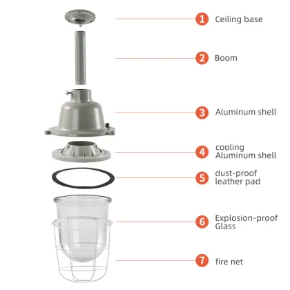 Professional High-Quality LED Explosion-Proof Lighting: 50W and 100W Explosion-Proof Lights