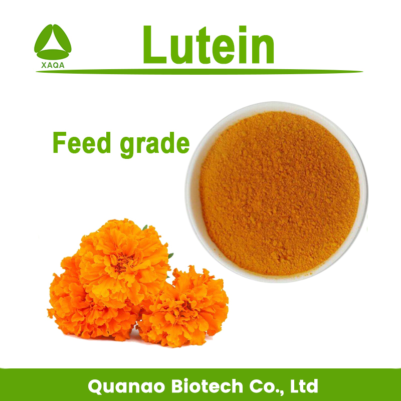 Fish Feed Lutein 2% 5% 10% Marigold extract