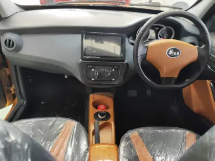 Mini Electric car New Energy Car