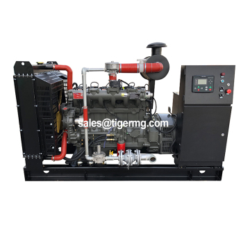 50kW Natural Gas Biogas Syngas Electric Power Generator Types