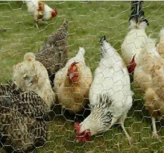 hexagonal wire mesh panel factory